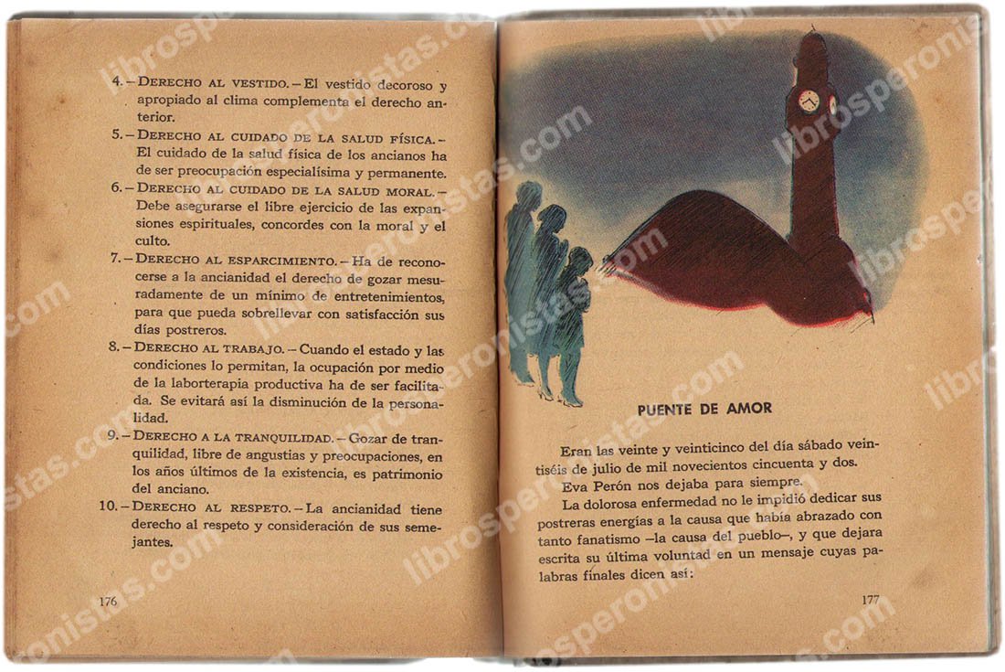 Despertar, Luis Bruno