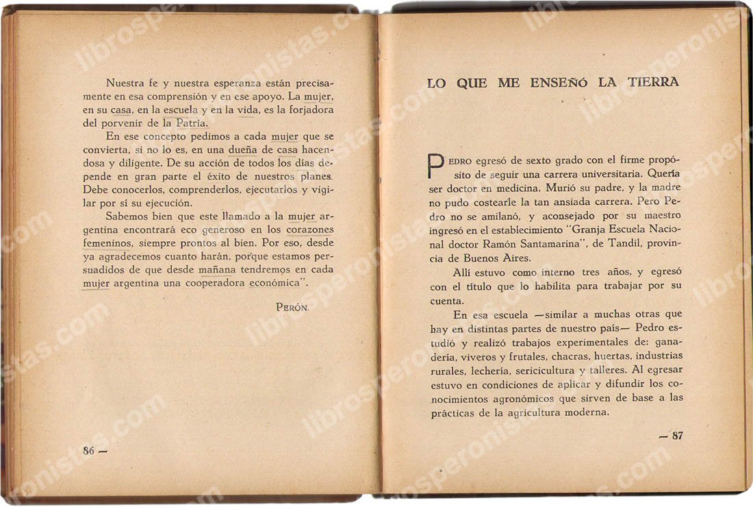 Justicialismo , Graciela Albornoz de Videla