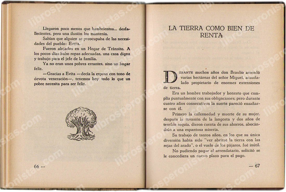 Mensaje de luz, Elsa G. R. Cozani de Gillone