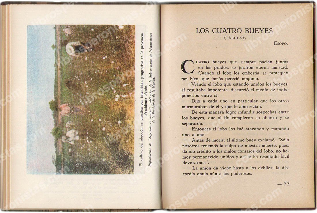 Mensaje de luz, Elsa G. R. Cozani de Gillone