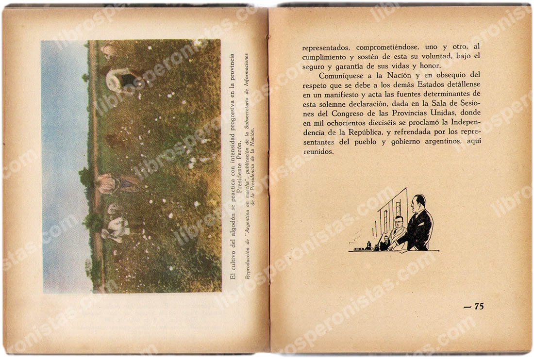Ronda del gran amor, Amalia Luisa Bruzone
